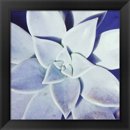 Framed Ultra Violet II Print