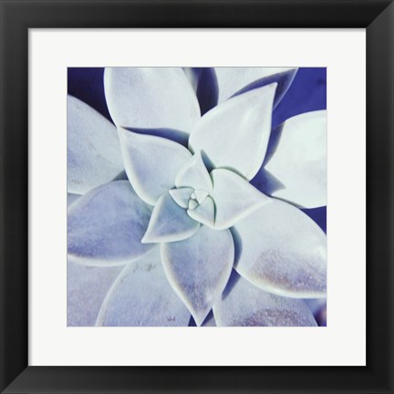 Framed Ultra Violet II Print