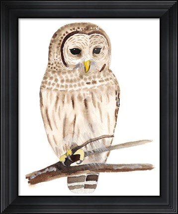 Framed Hoo Dis III Print