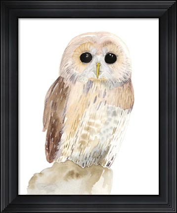 Framed Hoo Dis IV Print