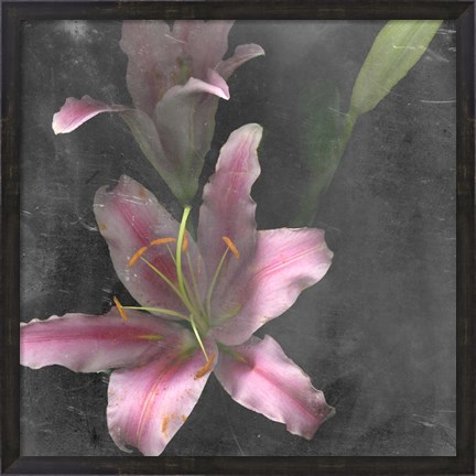 Framed Fleur de Lys I Print