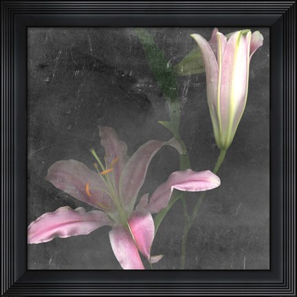 Framed Fleur de Lys II Print