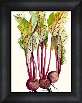 Framed Early Harvest II Print