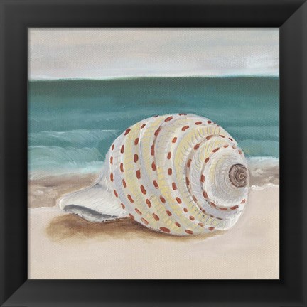 Framed She Sells Seashells II Print