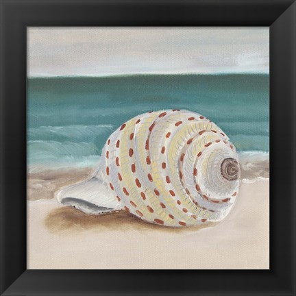 Framed She Sells Seashells II Print