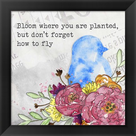 Framed Bloom &amp; Fly II Print