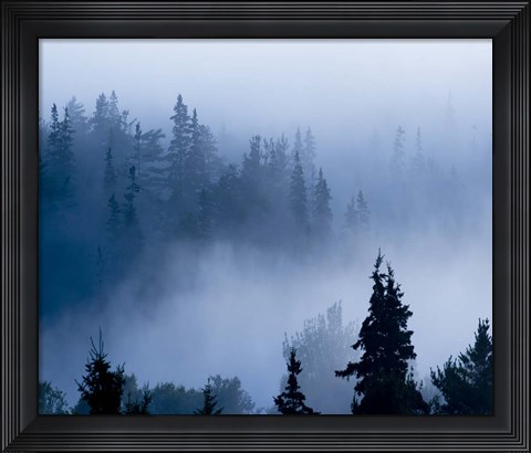 Framed Misty Mountains XV Print