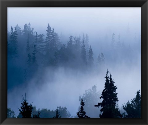 Framed Misty Mountains XV Print