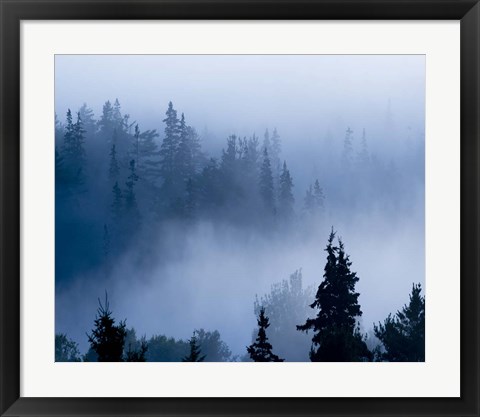 Framed Misty Mountains XV Print