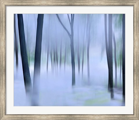 Framed Misty Mountains XVI Print