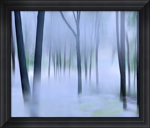 Framed Misty Mountains XVI Print