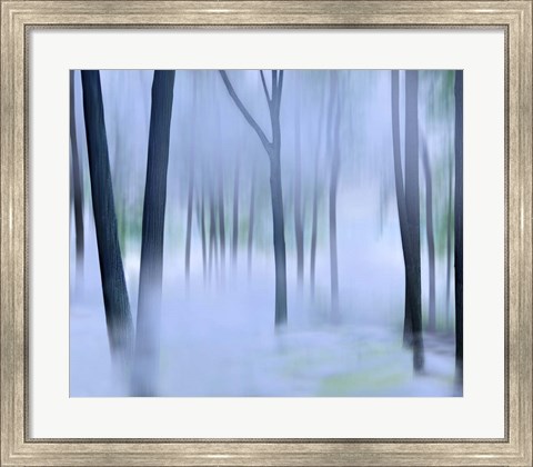 Framed Misty Mountains XVI Print