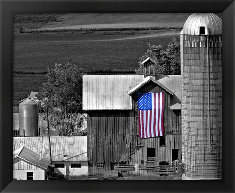 Framed Flags of Our Farmers XI Print