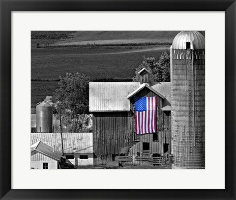 Framed Flags of Our Farmers XI Print