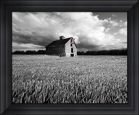 Framed Flags of Our Farmers XIII Print