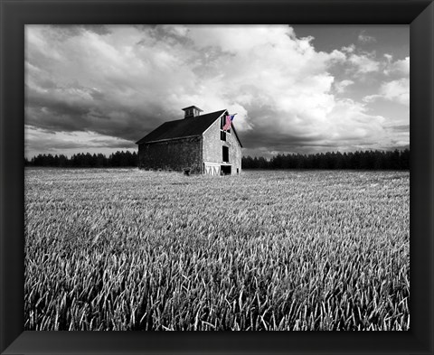 Framed Flags of Our Farmers XIII Print