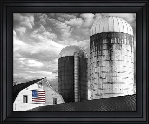 Framed Flags of Our Farmers II Print