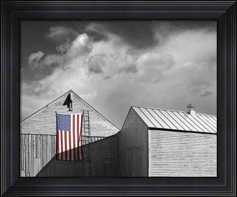 Framed Flags of Our Farmers V Print