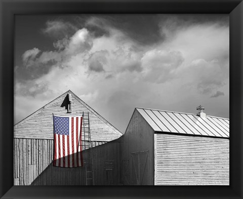 Framed Flags of Our Farmers V Print