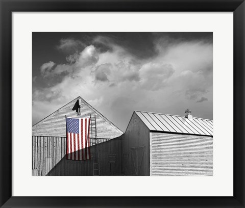 Framed Flags of Our Farmers V Print