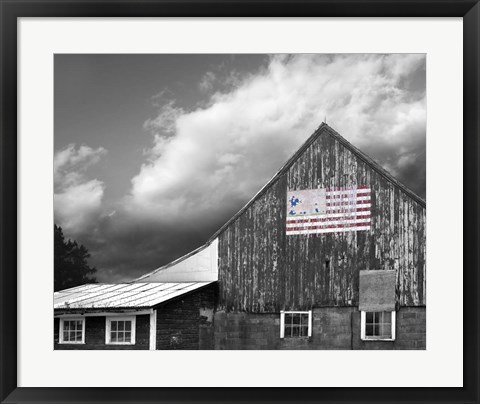 Framed Flags of Our Farmers VII Print