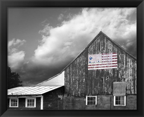 Framed Flags of Our Farmers VII Print