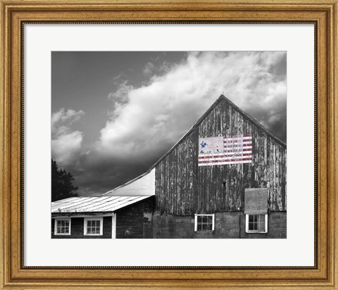 Framed Flags of Our Farmers VII Print