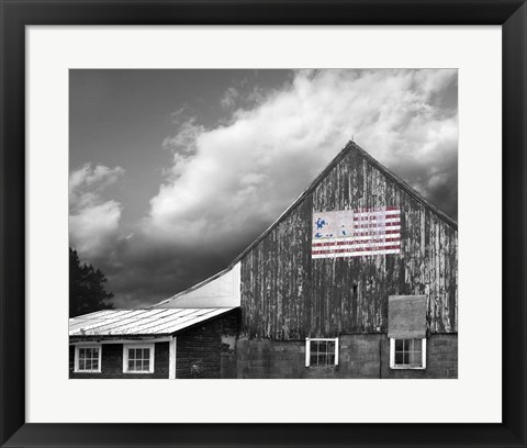 Framed Flags of Our Farmers VII Print