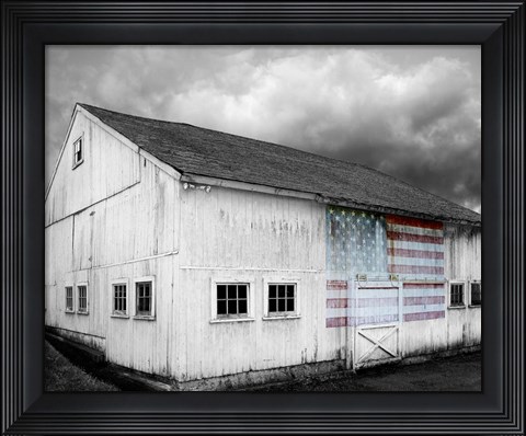 Framed Flags of Our Farmers VIII Print