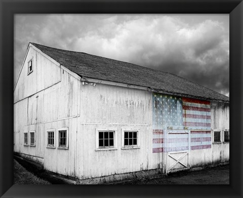 Framed Flags of Our Farmers VIII Print