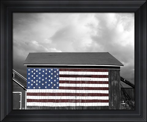 Framed Flags of Our Farmers IX Print