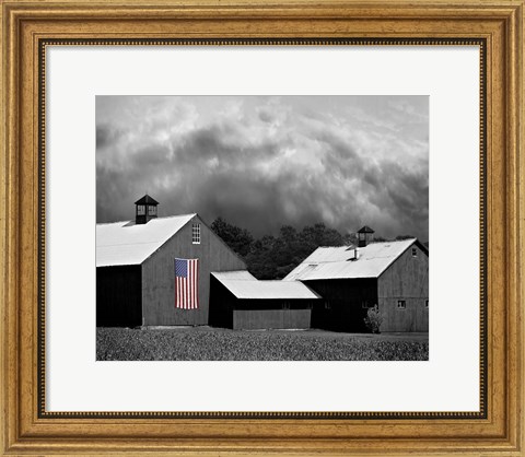 Framed Flags of Our Farmers XV Print
