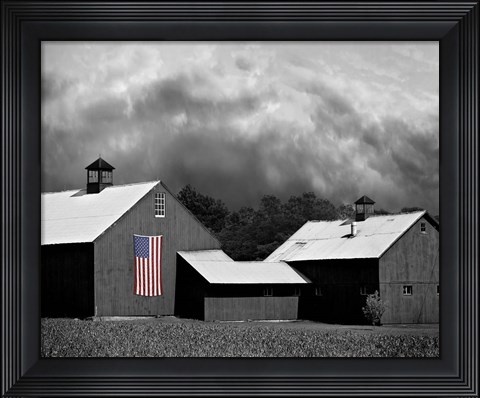 Framed Flags of Our Farmers XV Print