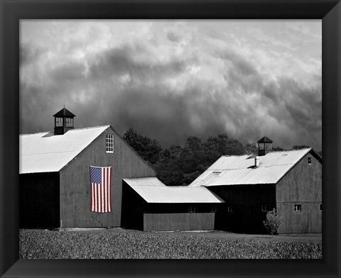 Framed Flags of Our Farmers XV Print