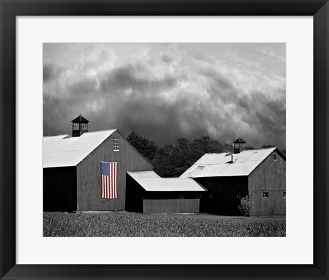 Framed Flags of Our Farmers XV Print