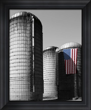 Framed Flags of Our Farmers XX Print