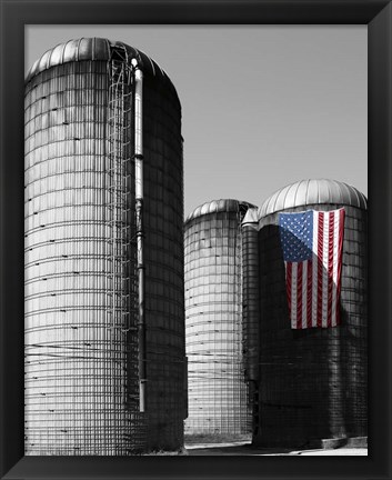 Framed Flags of Our Farmers XX Print