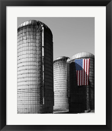 Framed Flags of Our Farmers XX Print