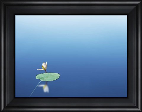 Framed Lilypad I Print