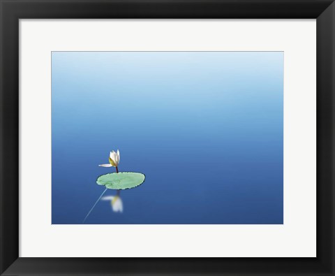 Framed Lilypad I Print