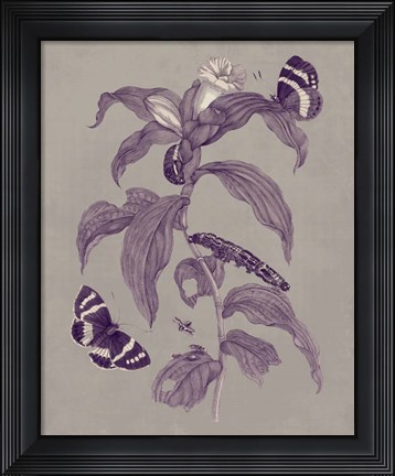 Framed Nature Study in Plum &amp; Taupe I Print