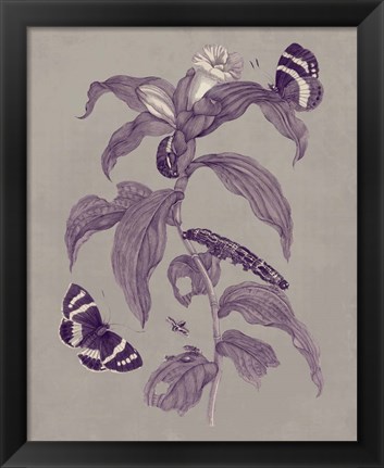 Framed Nature Study in Plum &amp; Taupe I Print