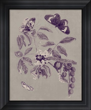 Framed Nature Study in Plum &amp; Taupe II Print