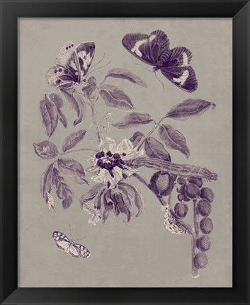 Framed Nature Study in Plum &amp; Taupe II Print