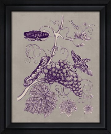 Framed Nature Study in Plum &amp; Taupe III Print