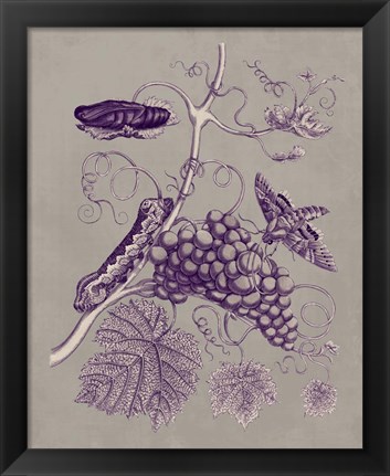 Framed Nature Study in Plum &amp; Taupe III Print