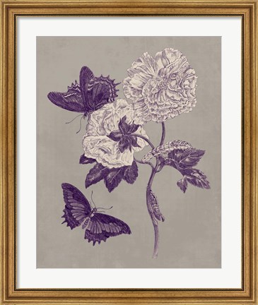 Framed Nature Study in Plum &amp; Taupe IV Print