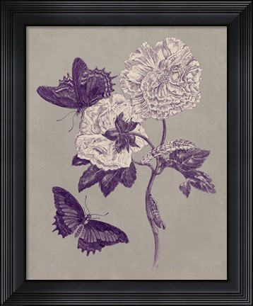 Framed Nature Study in Plum &amp; Taupe IV Print