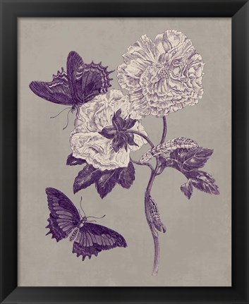 Framed Nature Study in Plum &amp; Taupe IV Print