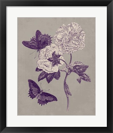 Framed Nature Study in Plum &amp; Taupe IV Print